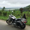 [PD] Harley Davidson - 0005